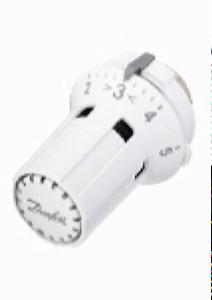 Danfoss 013G5030 RAW-K Термостатический элемент 